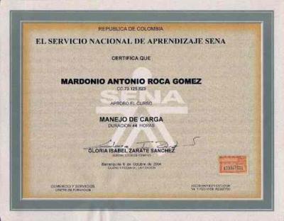 Curso de Manejo de Carga